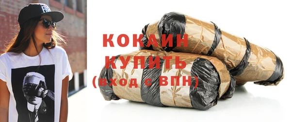 сатива Мегион